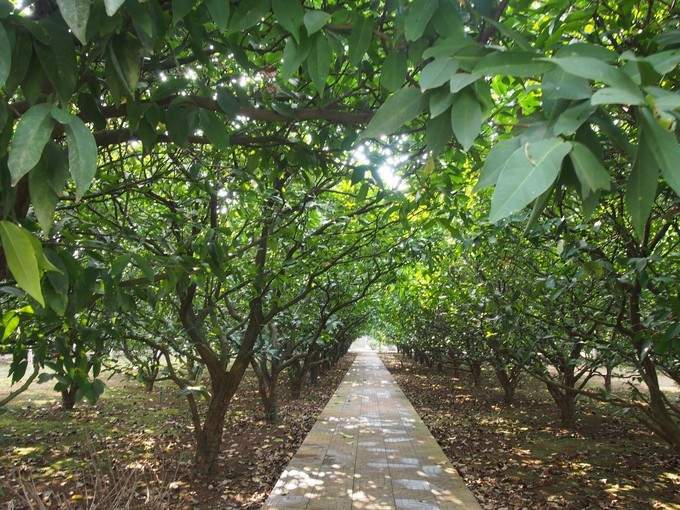 闺蜜三亚游详细攻略,七夕去哪里玩比较浪漫三亚