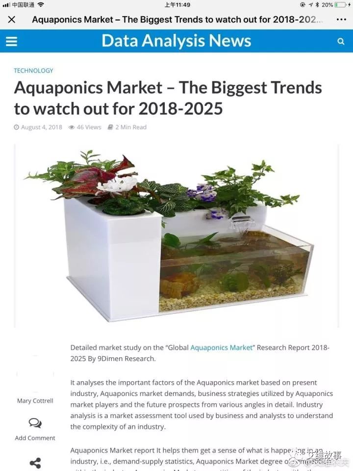 艾维农夫农场鱼菜共生,艾维徐箴言鱼菜共生系统设计建造