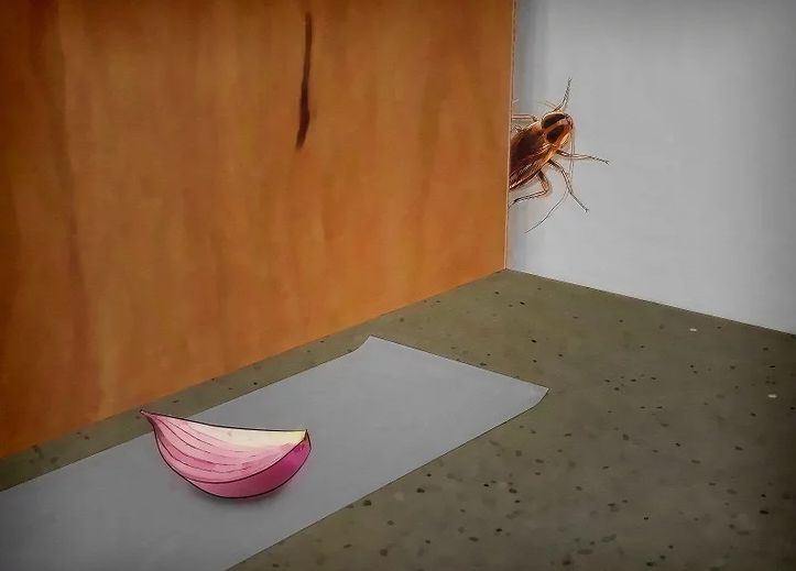 用了这么多年才知道电饭锅还能洗,用了2年电饭锅有膜