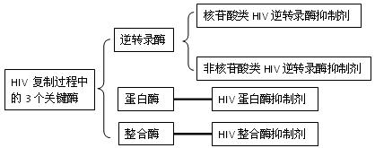 艾滋病知识及传播途径,艾滋病的传播途径和防控方法