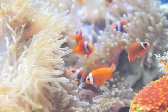 贵州旅游避暑推荐地点有哪些景点,贵州避暑旅游线路整理推荐