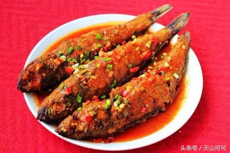 新疆有几种野鱼,新疆都能野采到哪些鱼