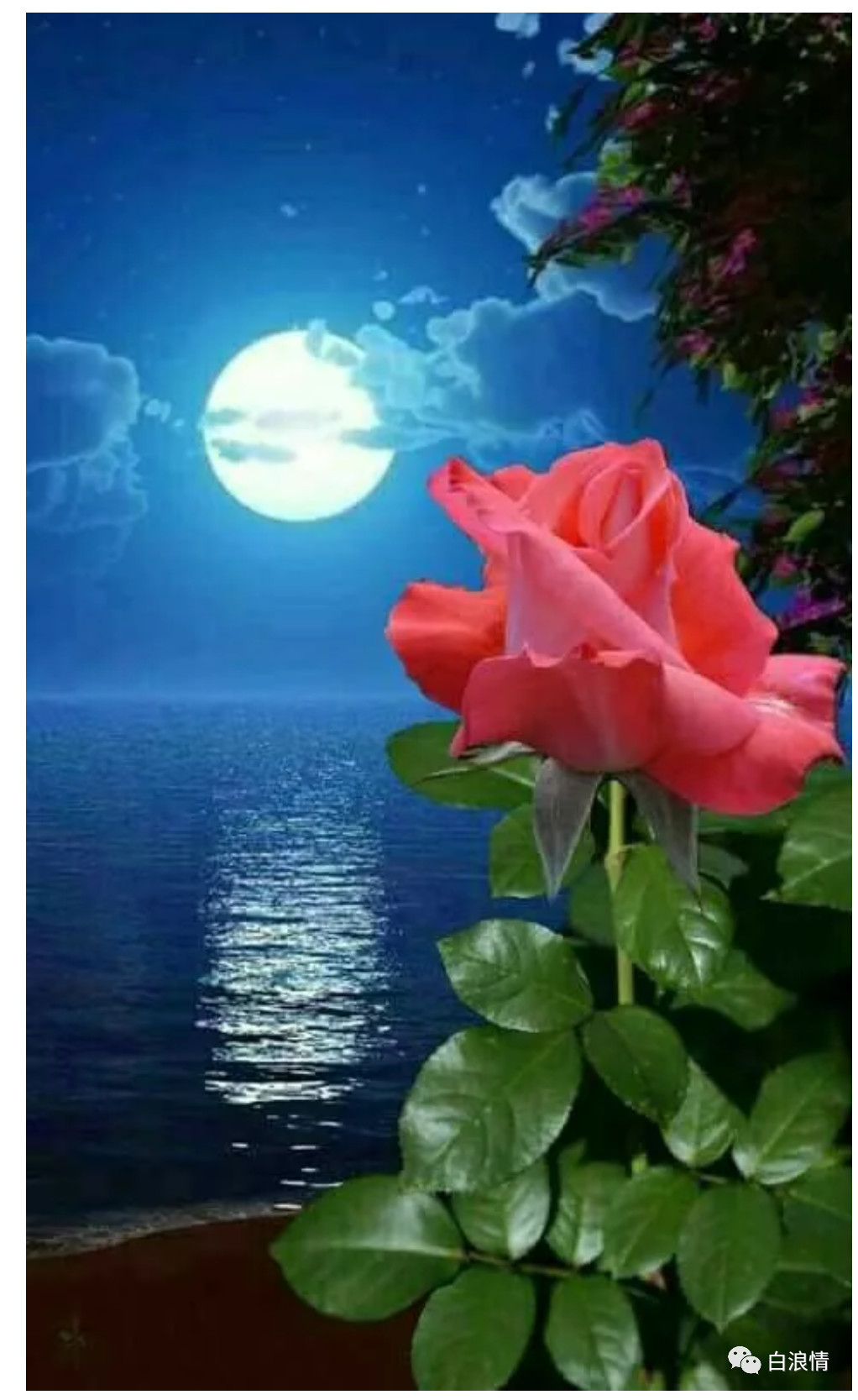 铁道兵战友七夕诗,铁道兵战友聚会诗词