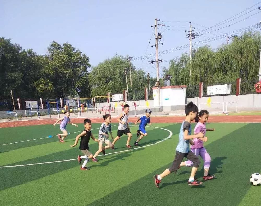 和平精英杯赛事,和平精英和平杯总决赛