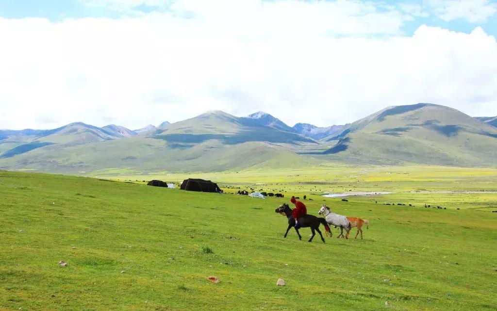 秒杀若尔盖!川西有个官方认定的最美草原,景美人少不收门票!