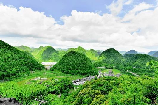 住在森林里的城市,住在森林城市是一种怎样的体验