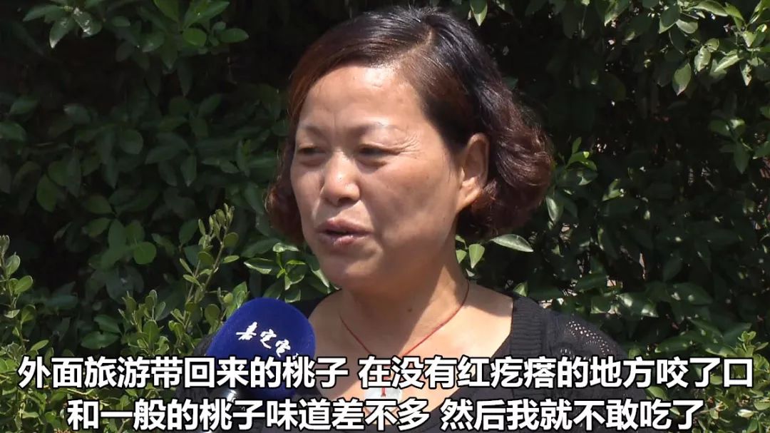 好多红疙瘩！徐女士买的桃子竟长了“青春痘”！这种桃子能吃吗？