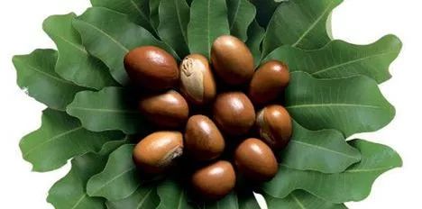 运动员户外防晒霜套装,运动员男士专用防晒霜