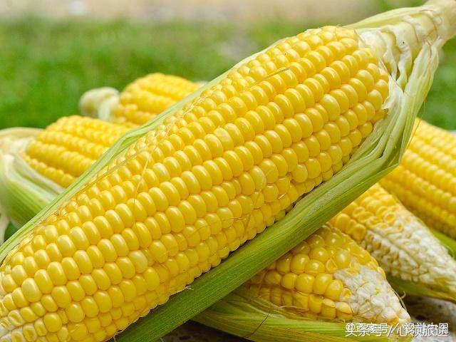 沈阳周边度假村,沈阳周边旅游度假村推荐