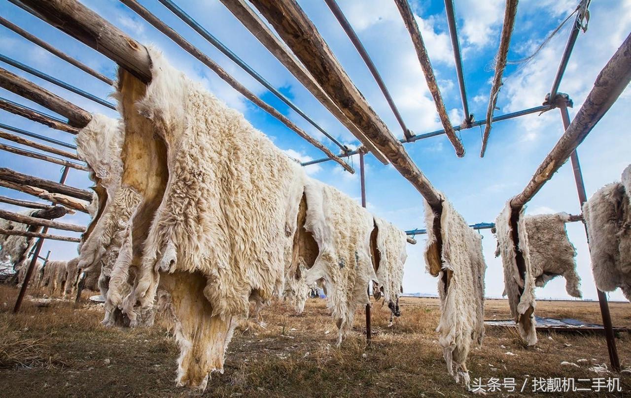 人类穿衣服是从什么时候开始的,人类早期穿的衣服