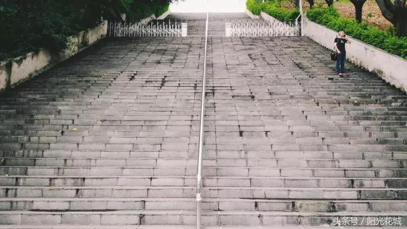 攀枝花的路有多陡,攀枝花最陡的坡