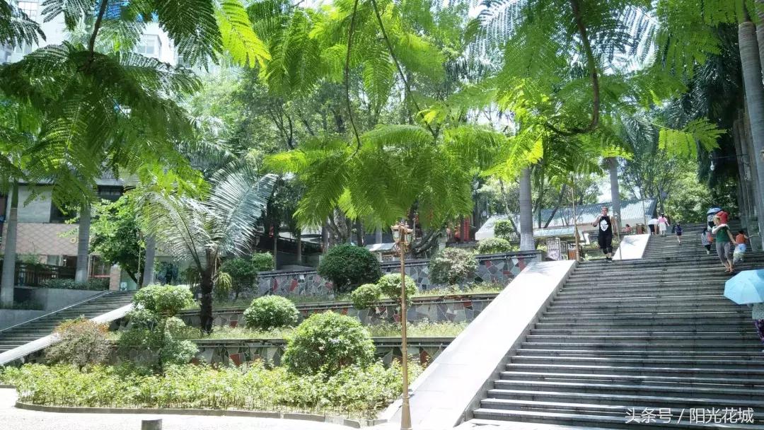 攀枝花的路有多陡,攀枝花最陡的坡