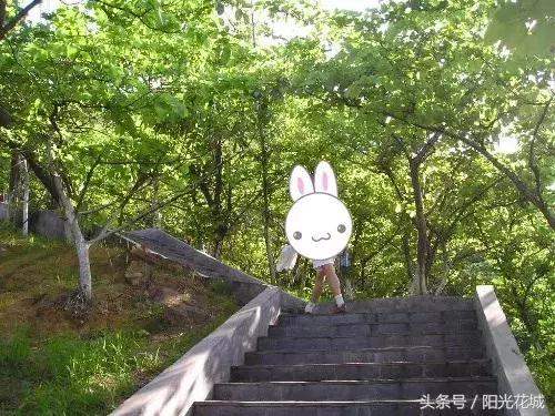 攀枝花的路有多陡,攀枝花最陡的坡