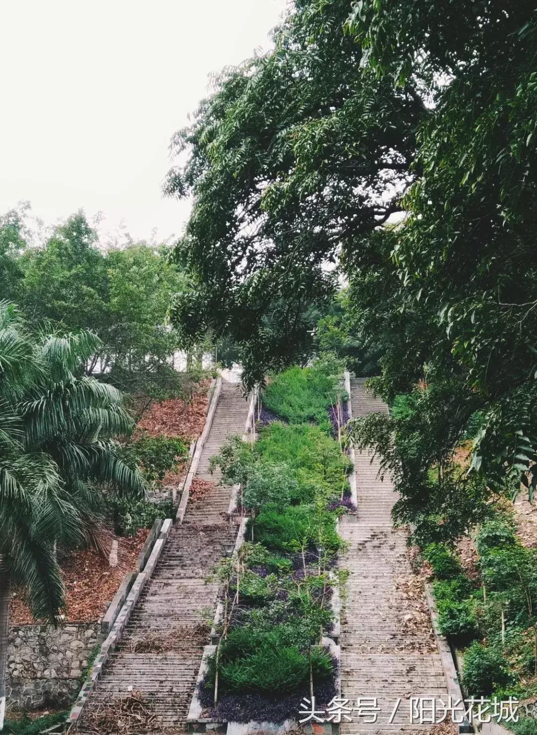 攀枝花的路有多陡,攀枝花最陡的坡