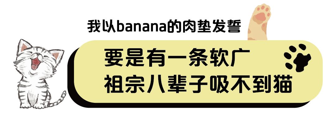 20款猫粮评测,20以内猫粮推荐红黑榜测评