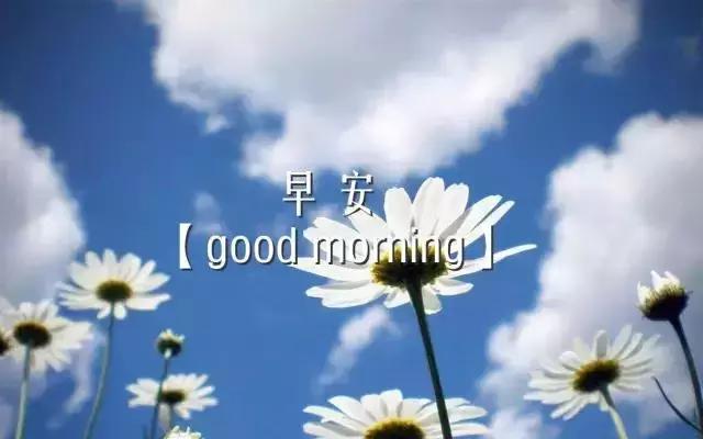 朋友圈早安语录简短图片,朋友圈励志早安的句子配图