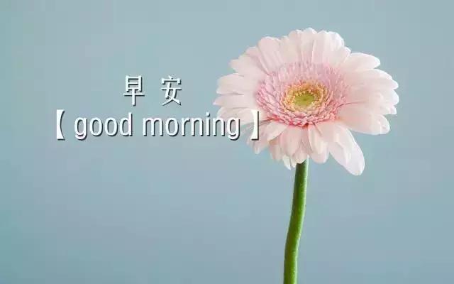 朋友圈早安语录简短图片,朋友圈励志早安的句子配图