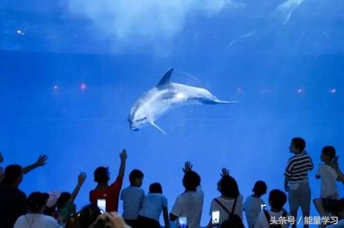 近义成语辨析100组,中高考必备近义成语区分的妙招