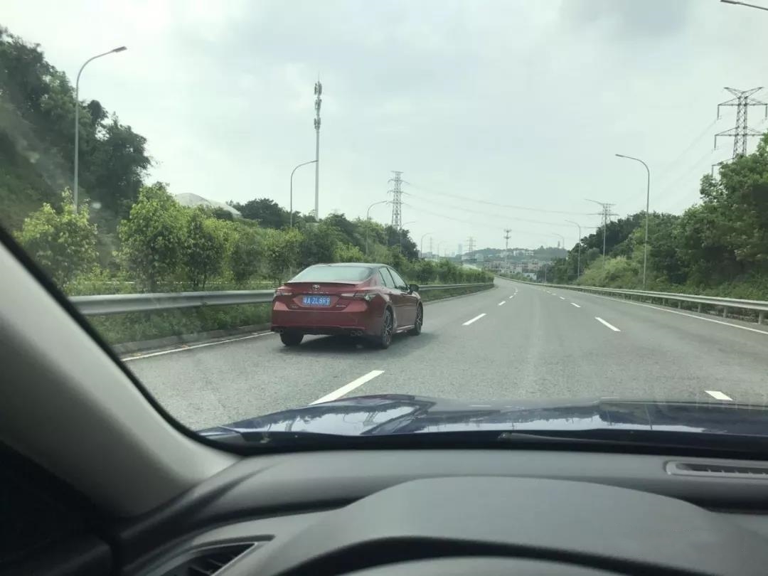 绿化带掉头危险视频,绿化带危险