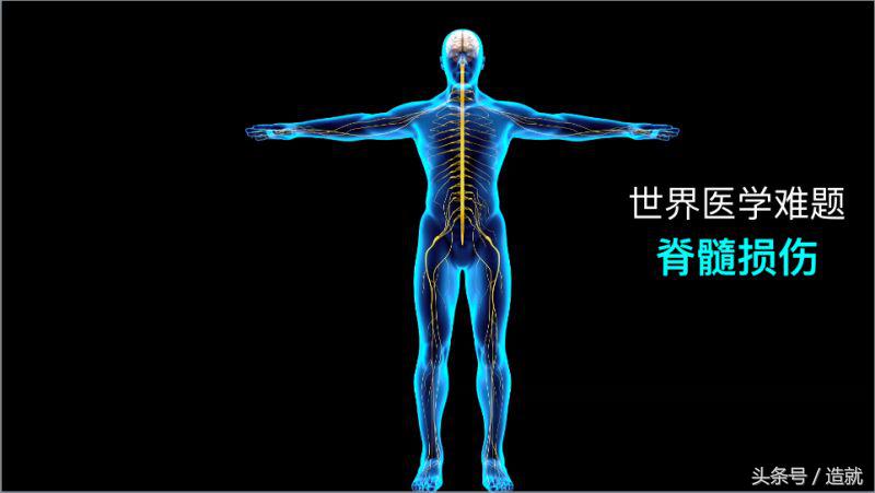 器官移植是否解决了疾病问题,器官移植什么病