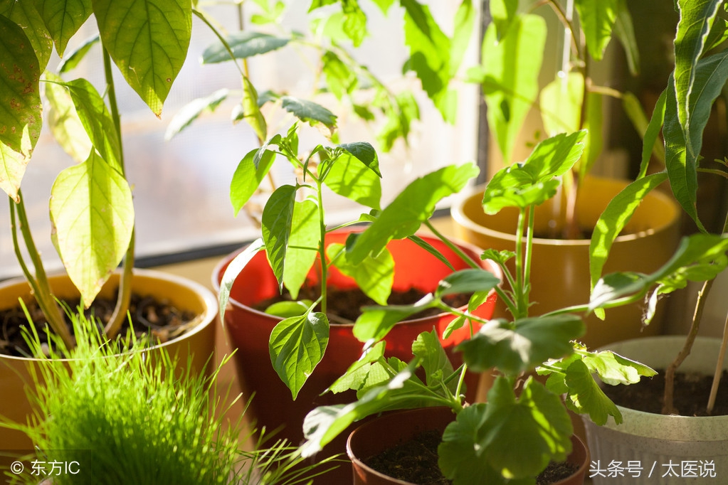 上午老是犯困和脾有关系吗,饭后想打瞌睡是什么原因呢