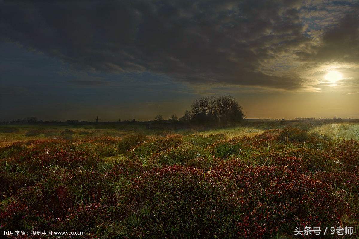 半夜发来一条短信，究竟是短信内容太真实还是我多思
