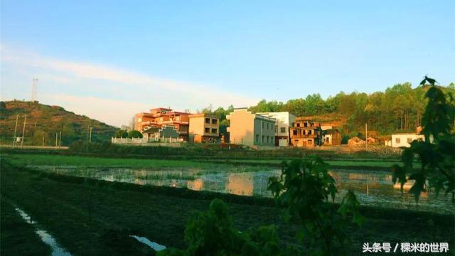 鍒橀摥璇楄瘝鍏ㄩ泦,鍒橀摥璇楁枃