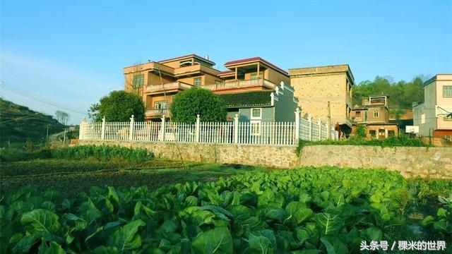 鍒橀摥璇楄瘝鍏ㄩ泦,鍒橀摥璇楁枃