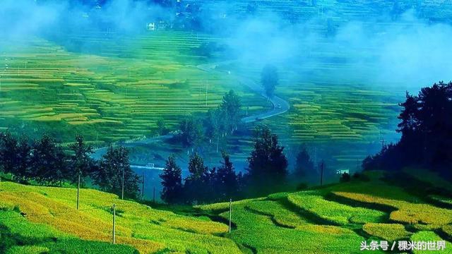 鍒橀摥璇楄瘝鍏ㄩ泦,鍒橀摥璇楁枃