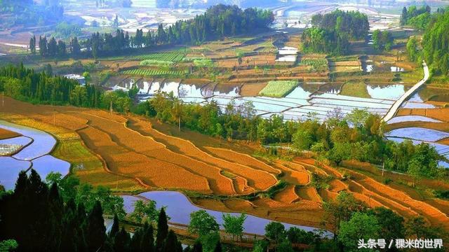 鍒橀摥璇楄瘝鍏ㄩ泦,鍒橀摥璇楁枃