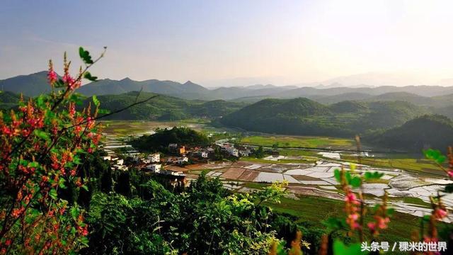 鍒橀摥璇楄瘝鍏ㄩ泦,鍒橀摥璇楁枃
