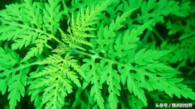 鍒橀摥璇楄瘝鍏ㄩ泦,鍒橀摥璇楁枃