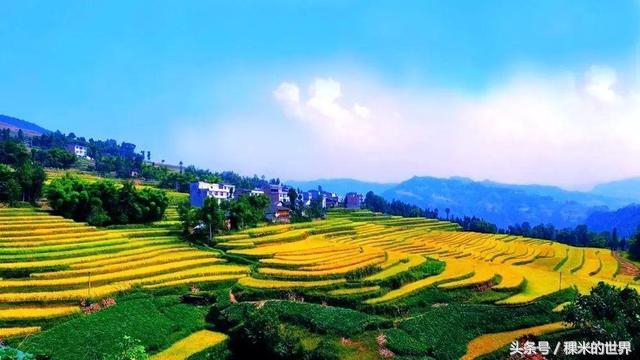 鍒橀摥璇楄瘝鍏ㄩ泦,鍒橀摥璇楁枃