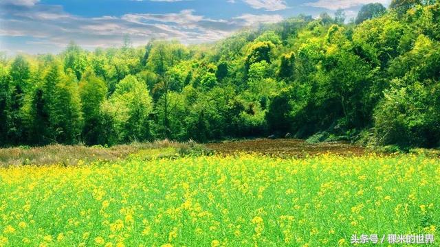 鍒橀摥璇楄瘝鍏ㄩ泦,鍒橀摥璇楁枃