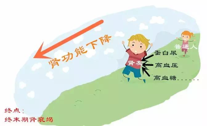 得了肾病肌酐300能吃降肌酐药吗,肾病怎么降肌酐和尿蛋白