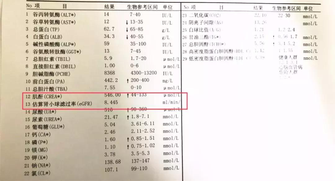 得了肾病肌酐300能吃降肌酐药吗,肾病怎么降肌酐和尿蛋白