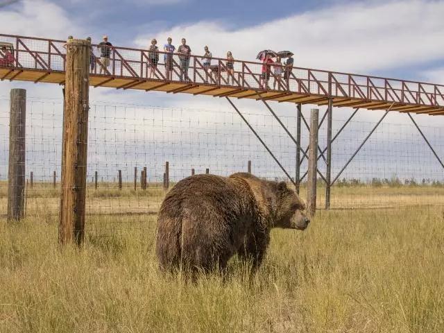 从丹佛到墨尔本,丹佛到阿斯本旅行攻略