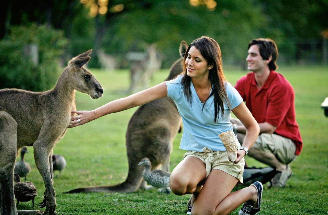 滑铁卢大学精算专业申请条件,纽约大学精算专业在哪个学院