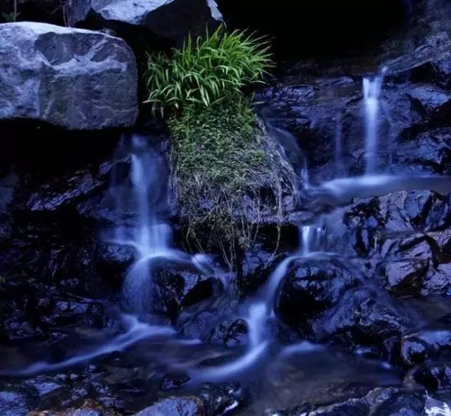 王维十首最美禅诗,诗佛王维最美的诗句