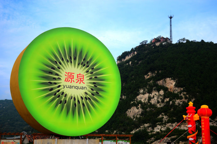 淄博源泉猕猴桃分选,淄博源泉猕猴桃标志