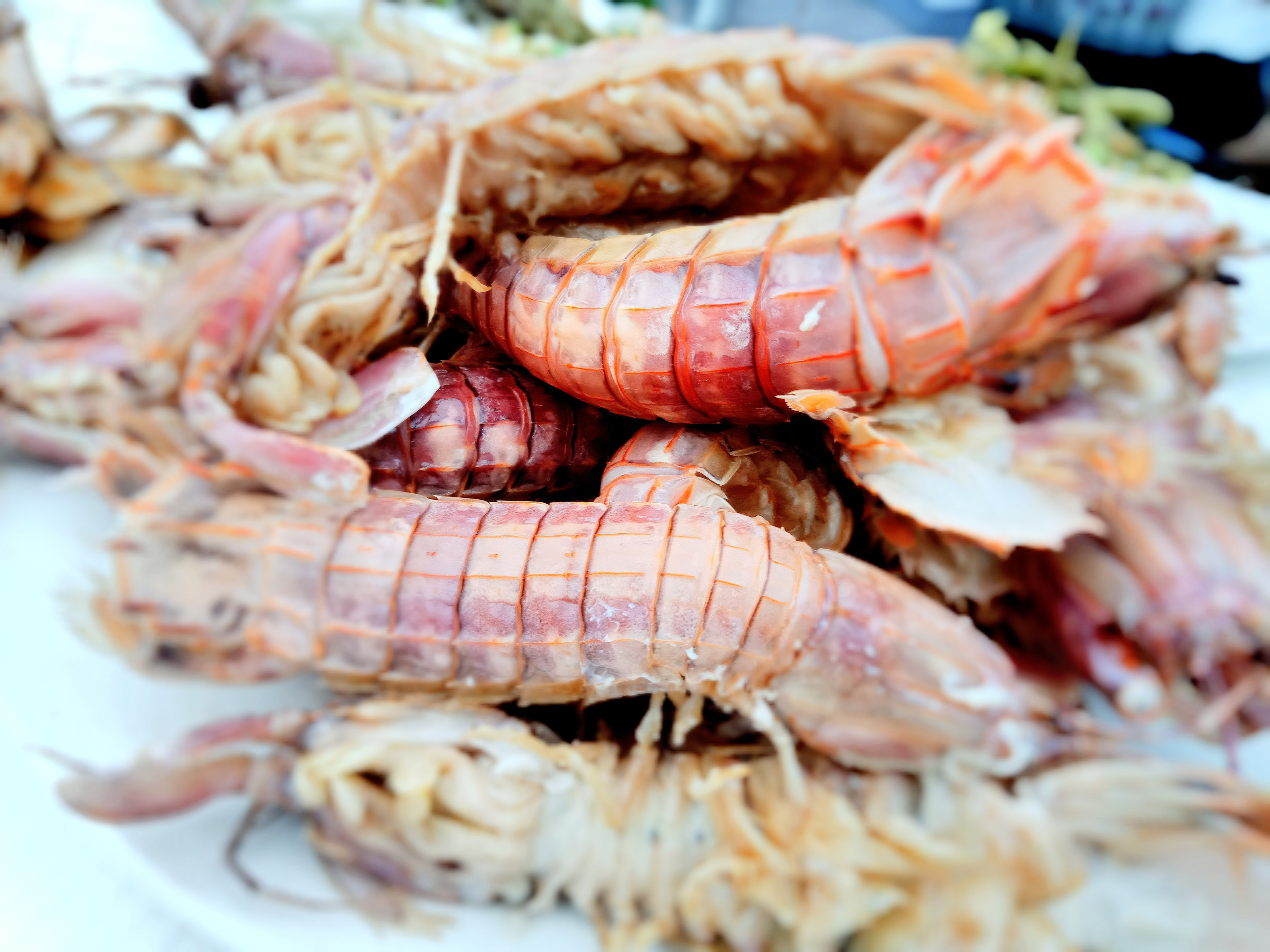 无穷尽的时光尘烟里，东戴河的厚重荣辱终将一笔勾销