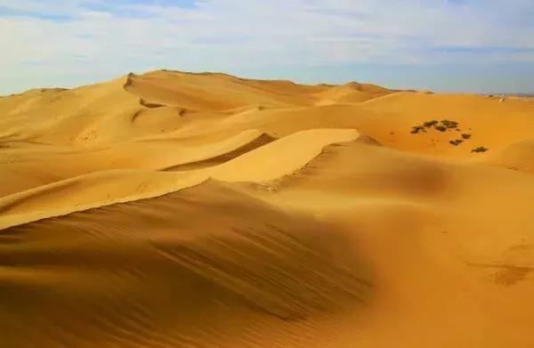 蚂蚁沙漠种树,蚂蚁森林沙漠种树航拍