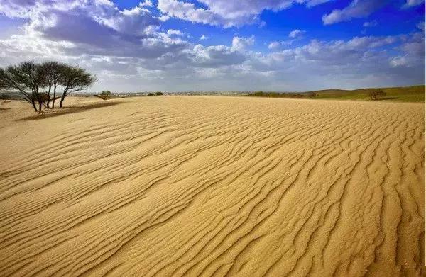 蚂蚁沙漠种树,蚂蚁森林沙漠种树航拍