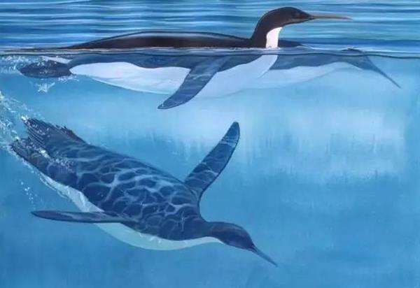 远古泰坦生物排行榜,远古时期厉害的10只巨型动物