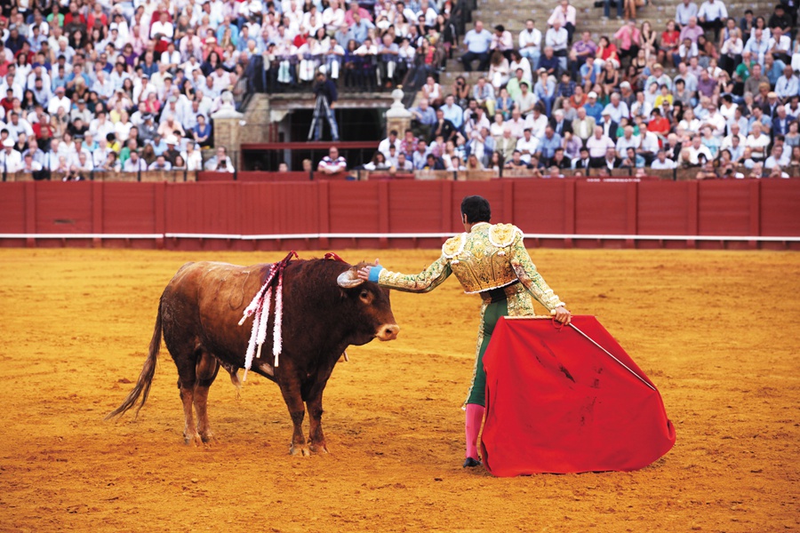 濉炵淮鍒╀簹vs缃楅┈杩炵孩,濉炵淮鍒╀簹瀵规垬绫冲叞