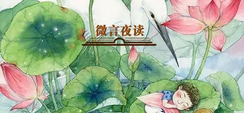 当诗文遇上荷花，醉了这一夏