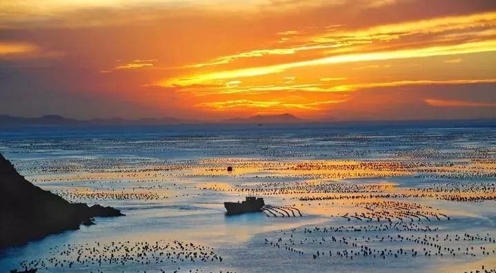 枸杞岛东极岛旅游攻略,东极岛和枸杞岛哪个好玩