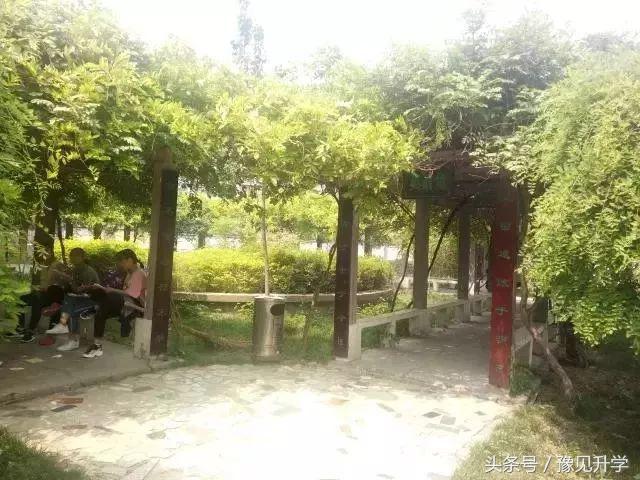 郑州星源外国语哪个校区好,郑州星源外国语学校好不好