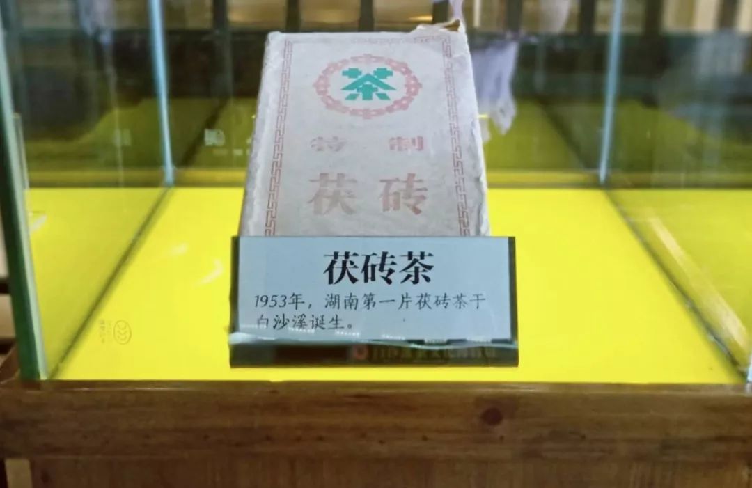 茶有金花还能喝吗,茶里的金花是怎么回事