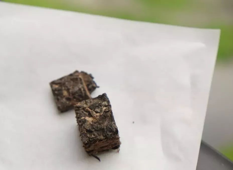 茶有金花还能喝吗,茶里的金花是怎么回事